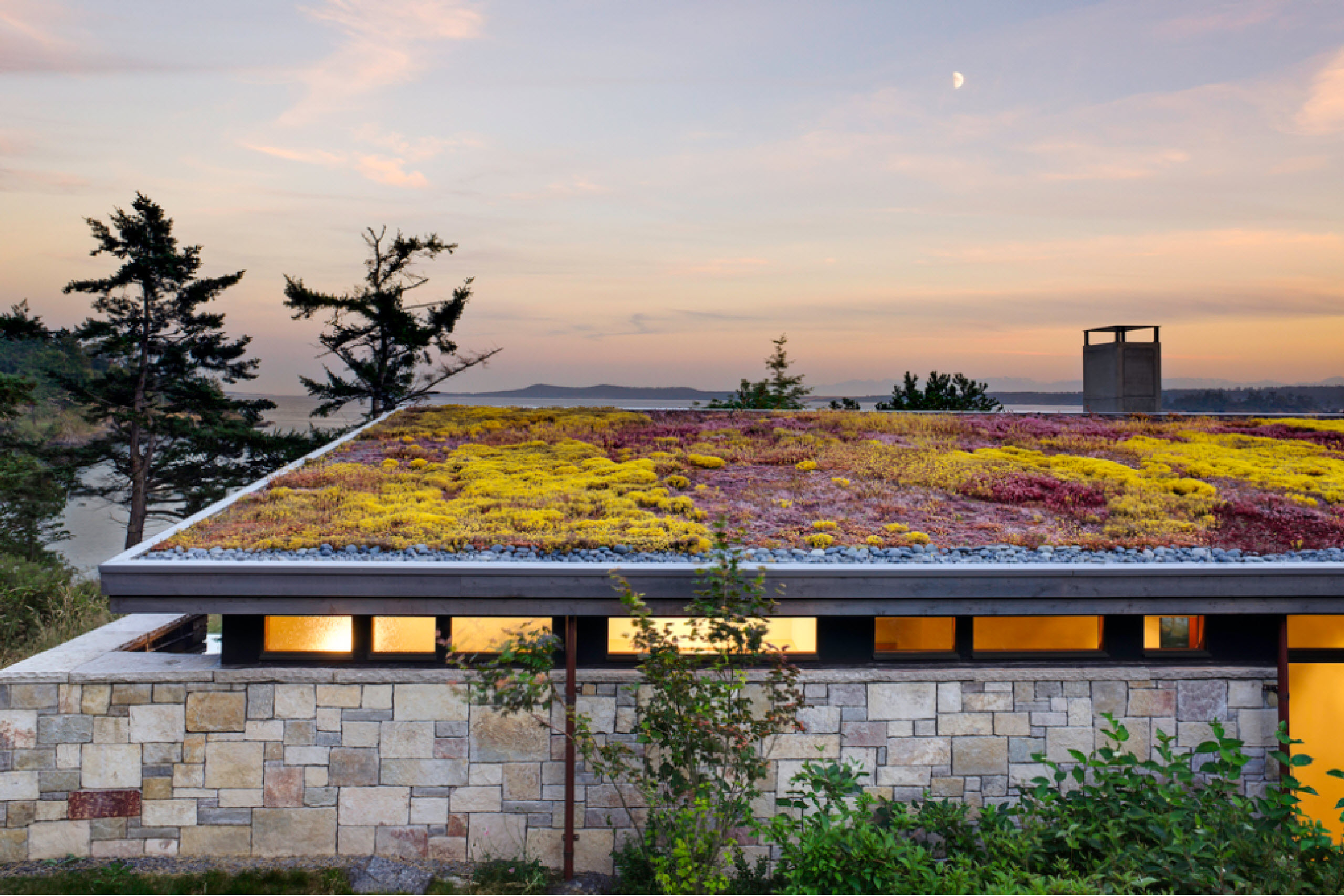 green roofs